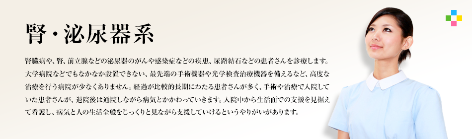 腎・泌尿器系