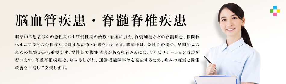 脳血管疾患・脊髄脊椎疾患