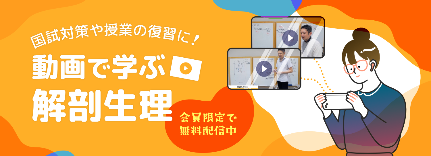 看護師国試に役立つ】解剖生理を動画で学ぼう