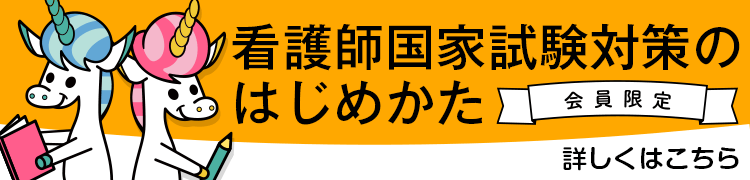 就職活動ですることと年間スケジュール 看護学生のための就活完全ガイド ナース専科就職ナビ