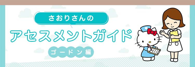 ゴードンの「領域」を用いた看護実習記録の書き方｜アセスメントガイド【ナース専科 就職】