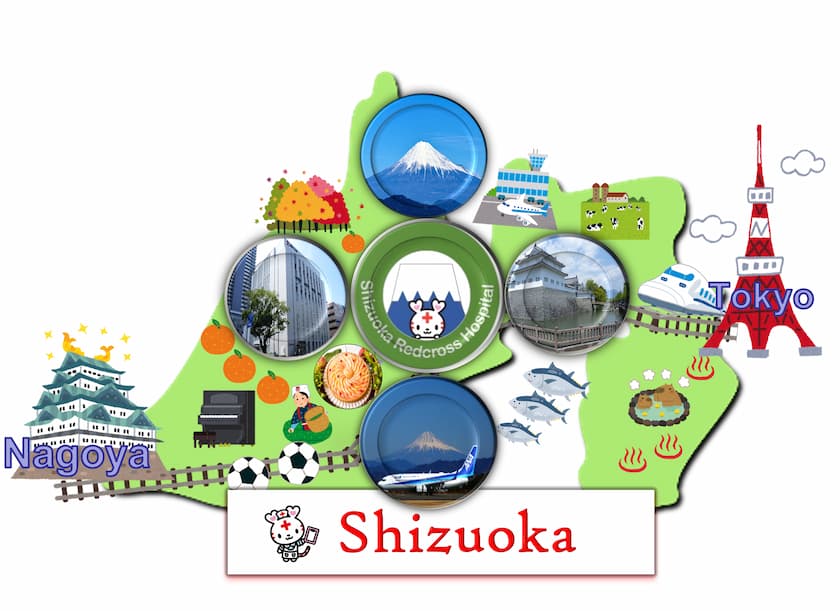 静岡赤十字病院